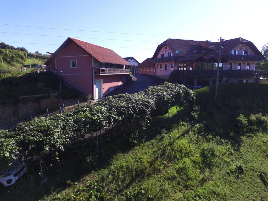 Guesthouse Kaucic Benedikt v Slovenskih Goricah Zewnętrze zdjęcie