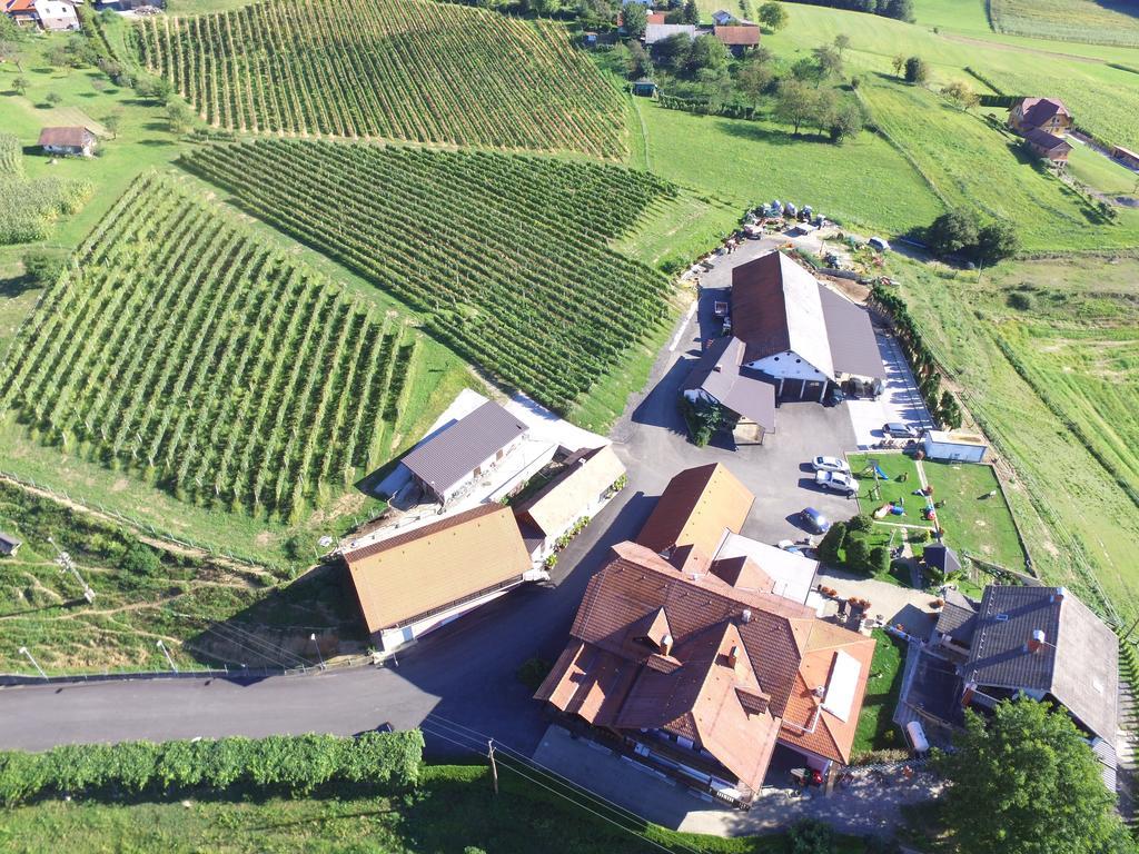 Guesthouse Kaucic Benedikt v Slovenskih Goricah Zewnętrze zdjęcie